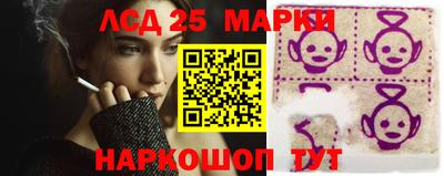 гидра Гатчина