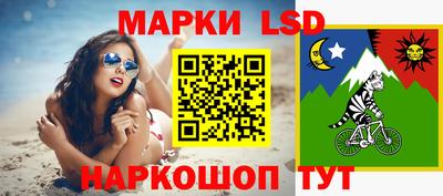 гидра Гатчина