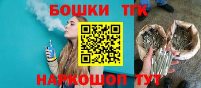 гидра Гатчина