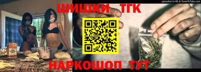 гидра Гатчина