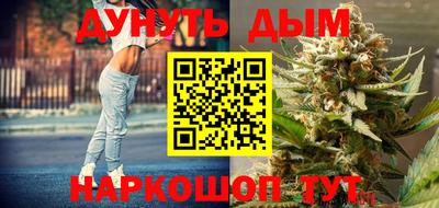 гидра Гатчина