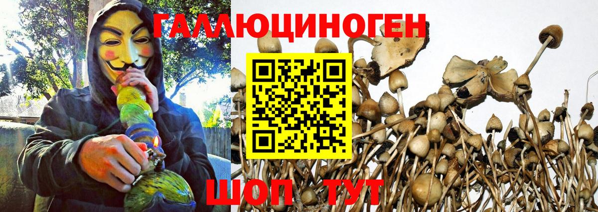 Галлюциногенные грибы Magic Shrooms Мурманск