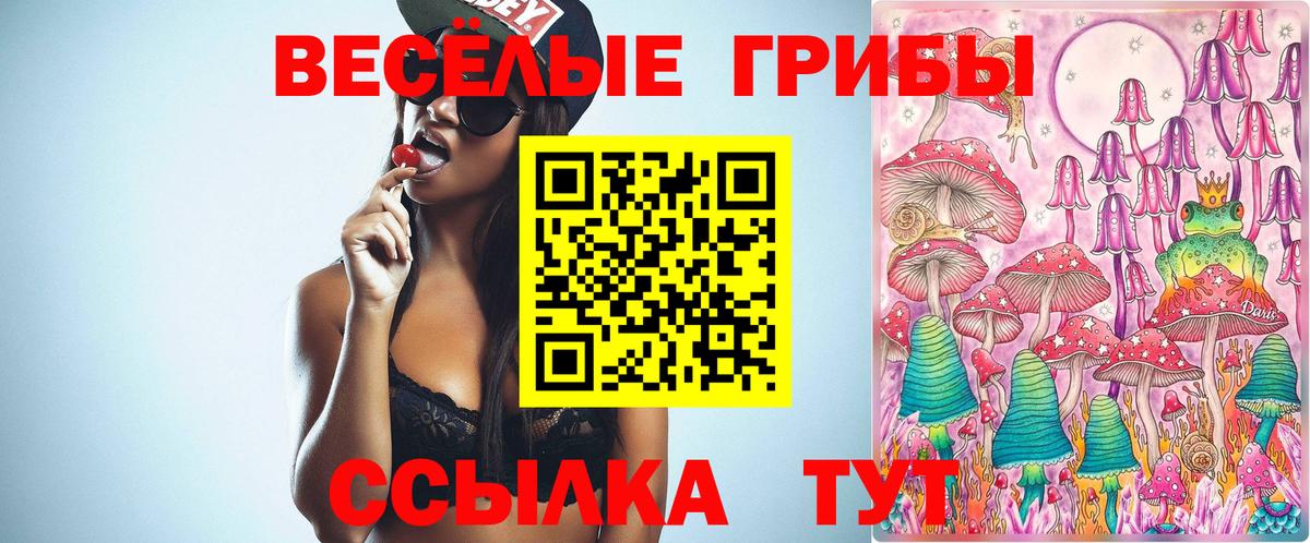 цены   Вход с VPN  Мурманск  Псилоцибиновые грибы Psilocybe 